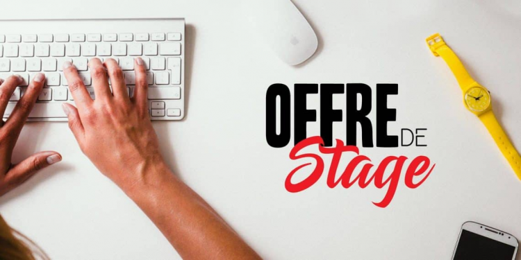 Offre de Stage en Inde